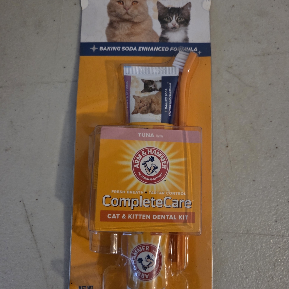 Cat & Kitten Dental Kit - Orange